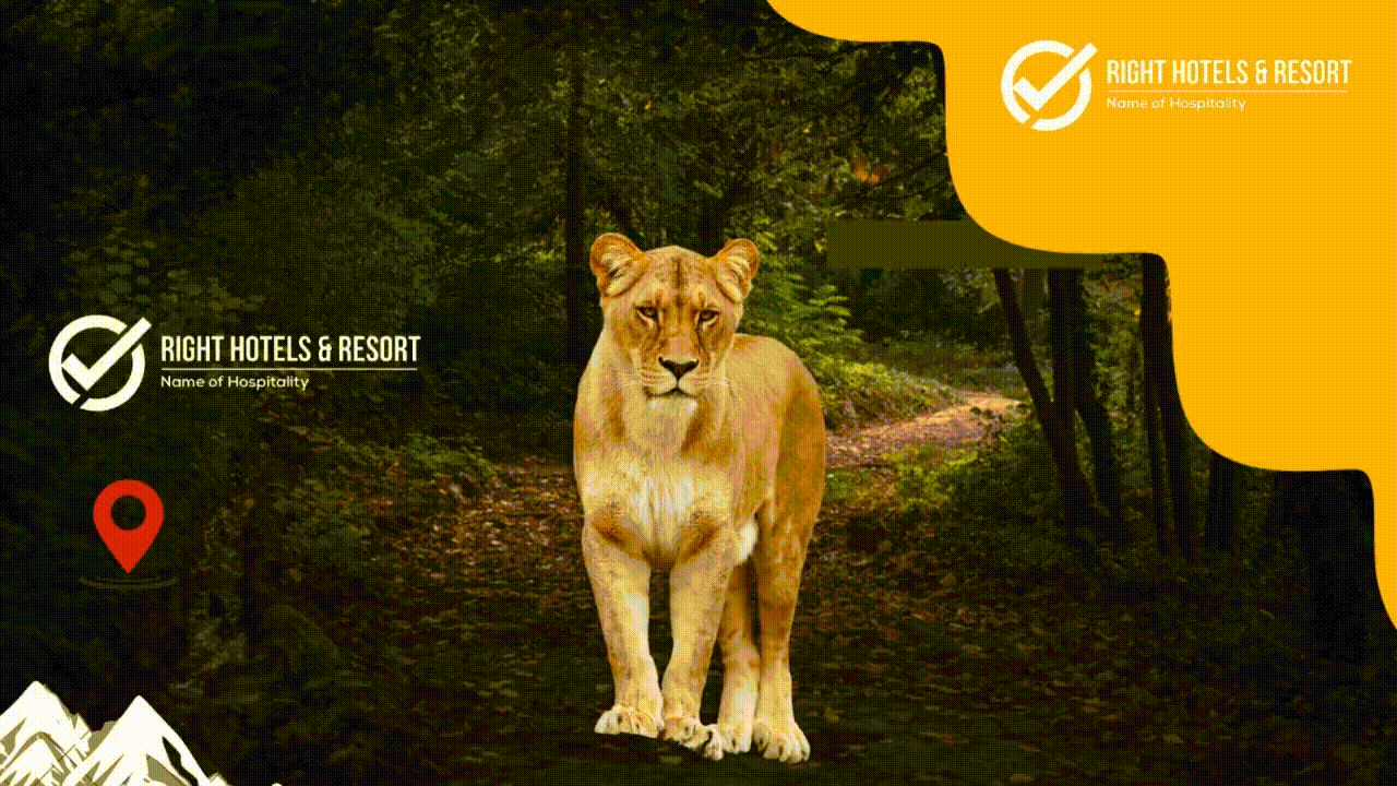 WhatsApp Video 2025-04-16 at 1.09.37 PM (1)